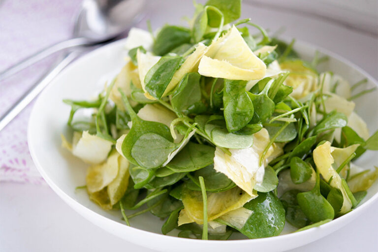 Chicorée (Belgische Endivien) und Postelein Salat