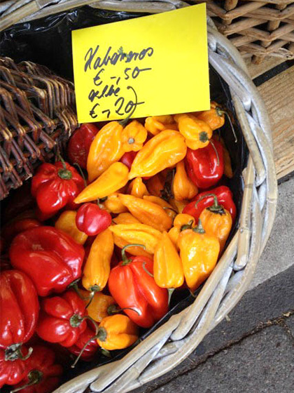 Habaneros