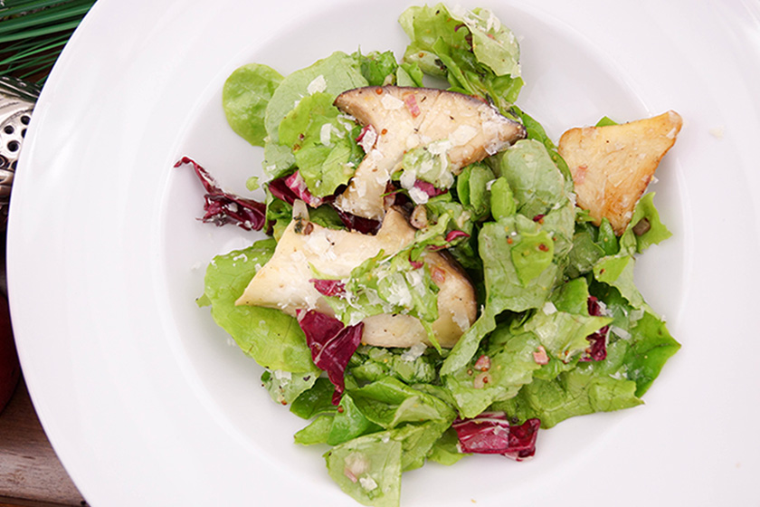 Salat mit Kräuterseitling