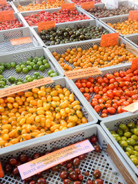 Sommer-Tomaten auf dem Markt