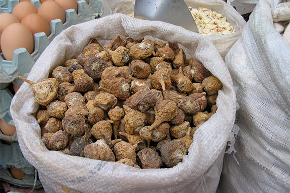 Maca Wurzel