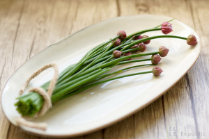 Chive Buds & Blossoms