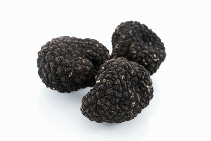 schwarze Trüffel