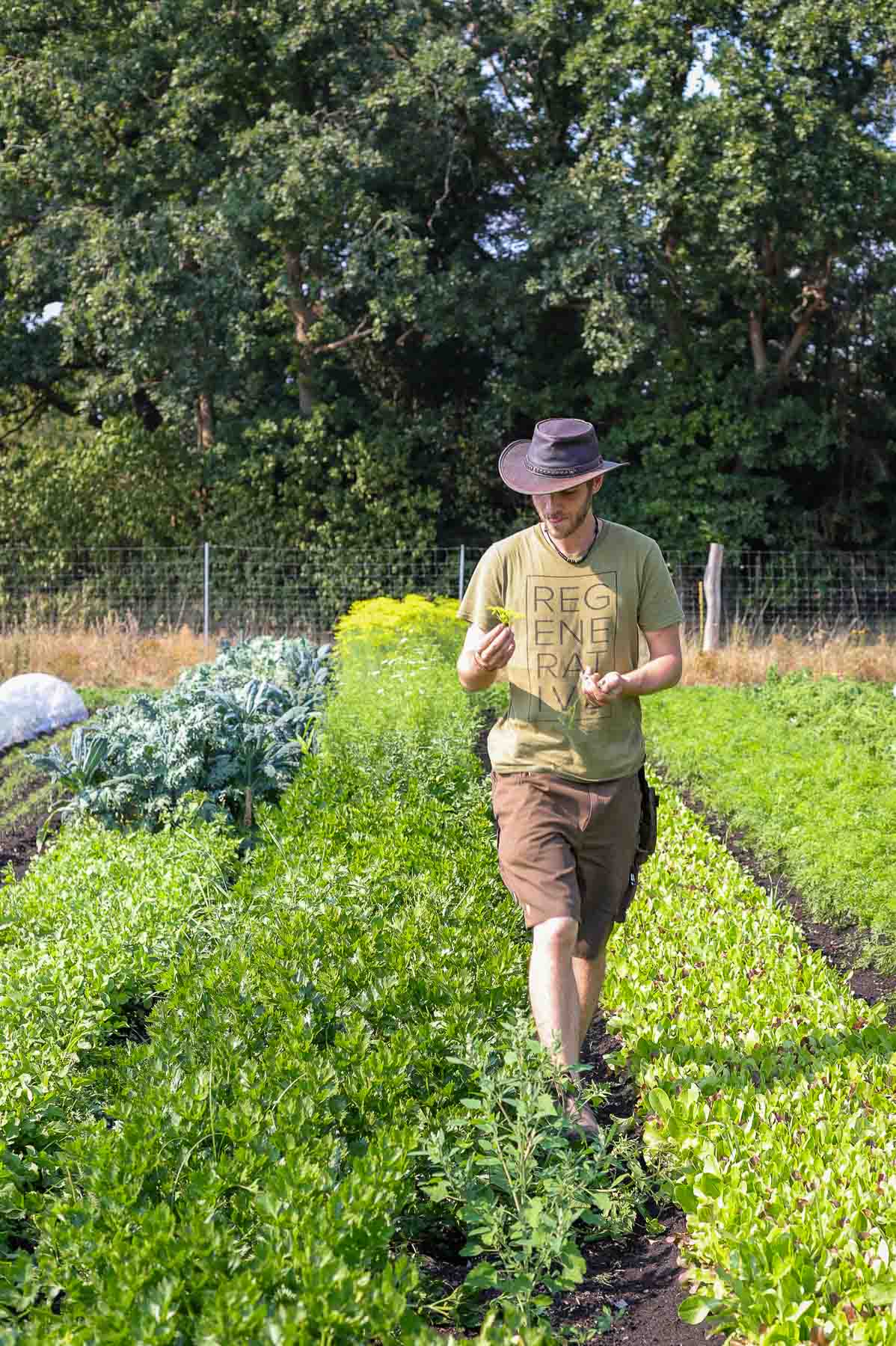 Dieser Biohof Hamburg entwickelt die Zukunft der Landwirtschaft