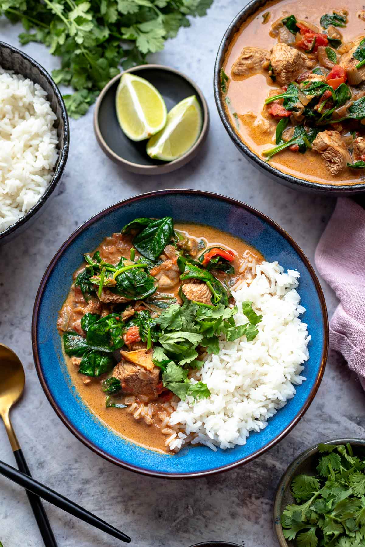 Einfaches Hähnchen Curry (Mild)