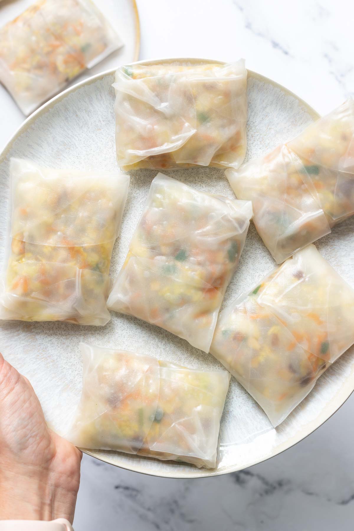Vegane Dumplings mit Reispapier
