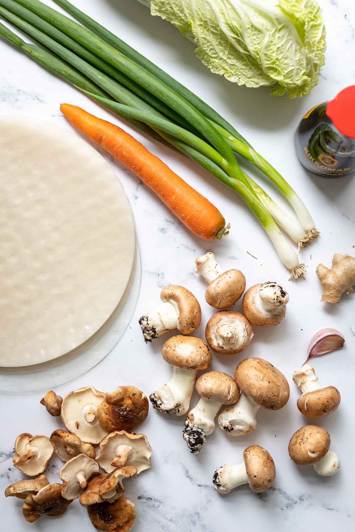 Vegane Dumplings Zutaten