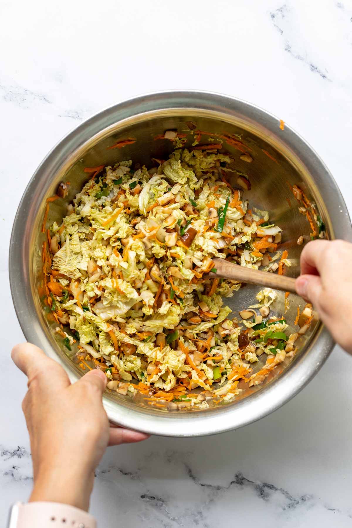 Gemüsefüllung für Dumplings