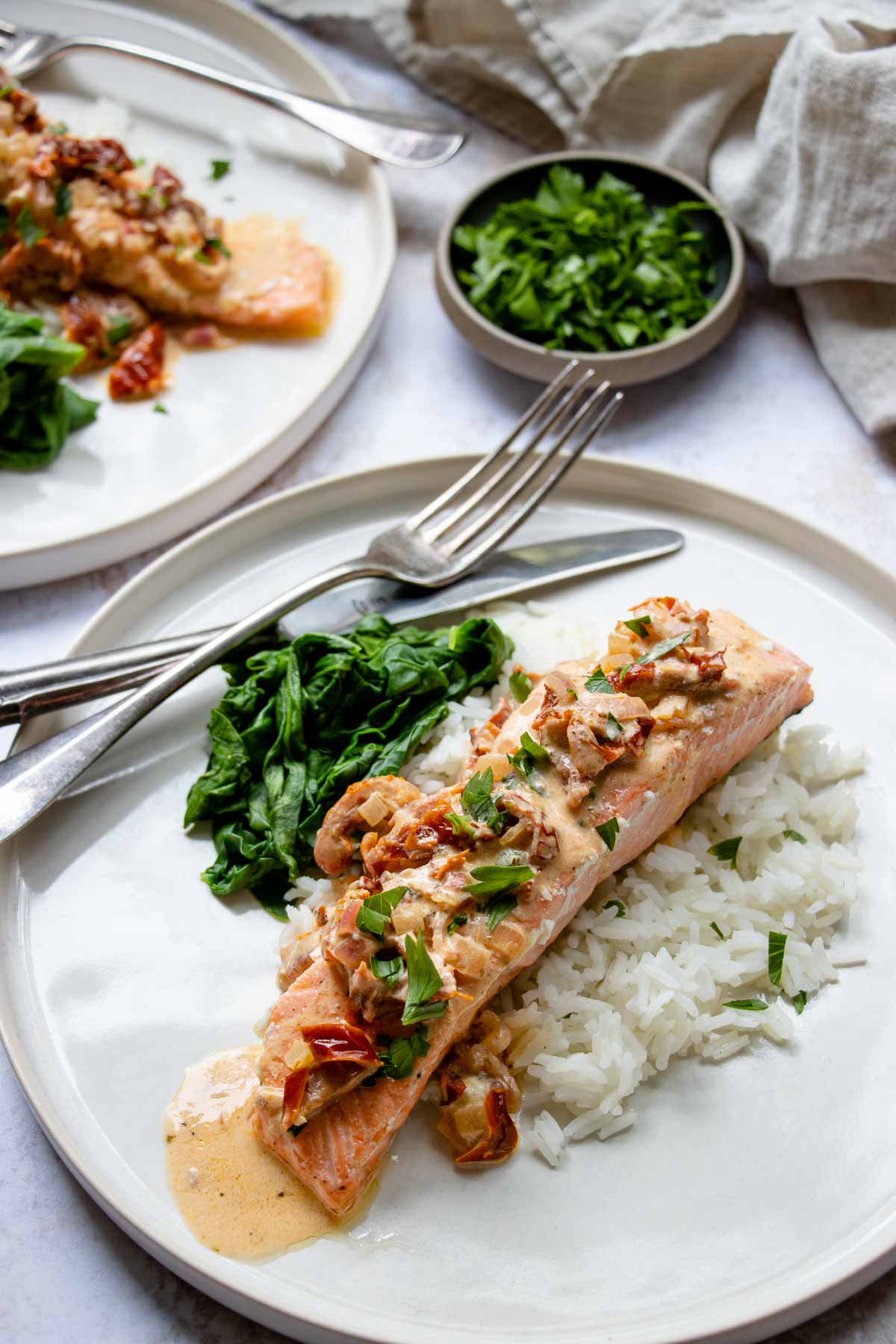 Salmon with Sun-Dried Tomato Cream Sauce