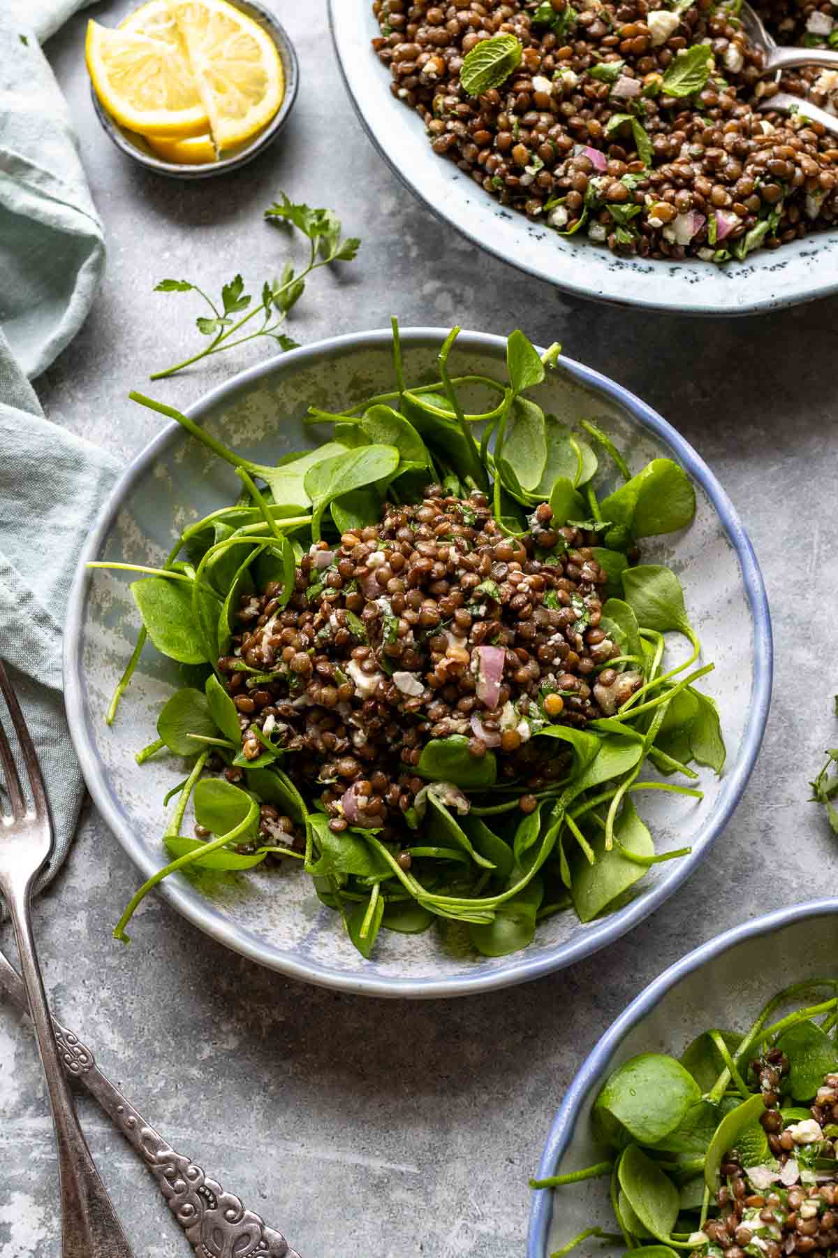 Orientalischer Linsensalat Rezept mit Kräutern, Feta und Portulak