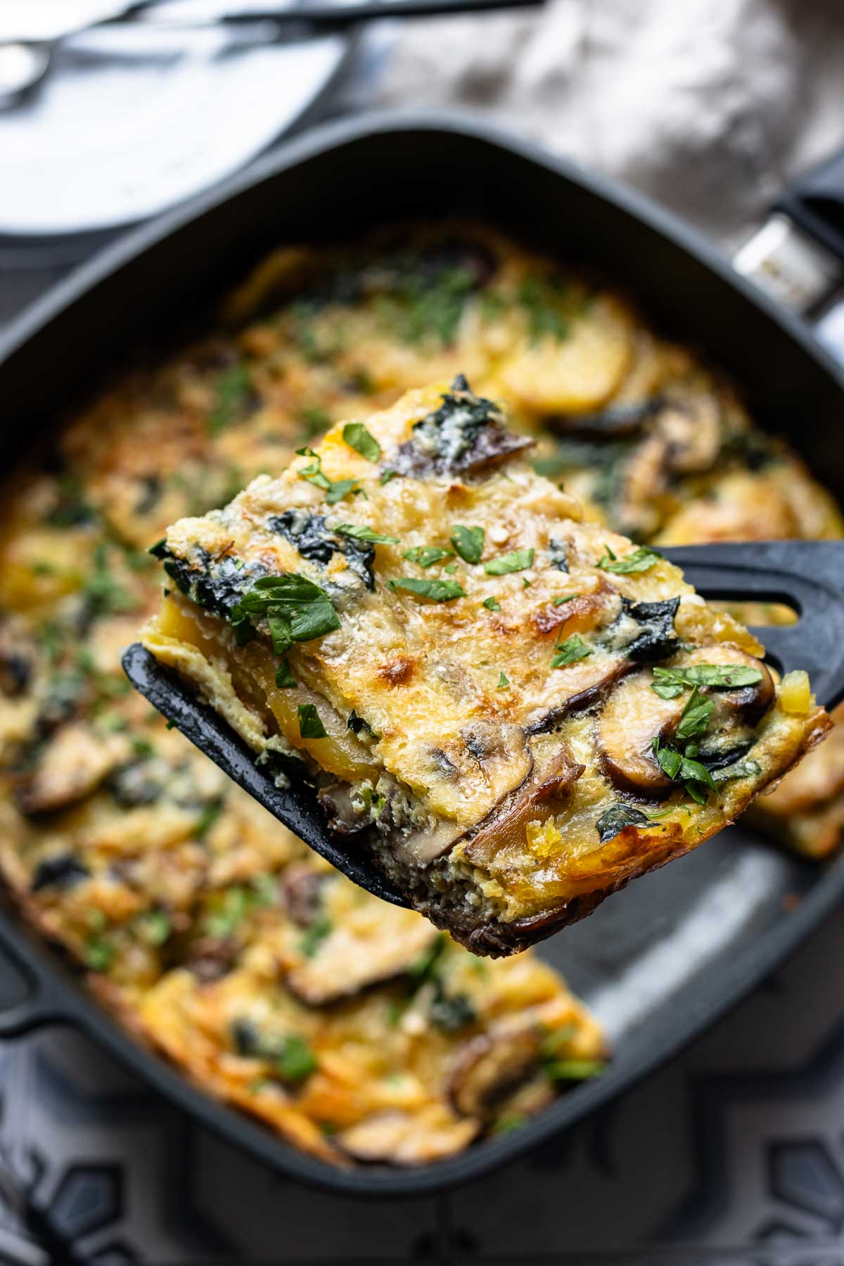 Pilz-Kartoffel-Tortilla Rezept