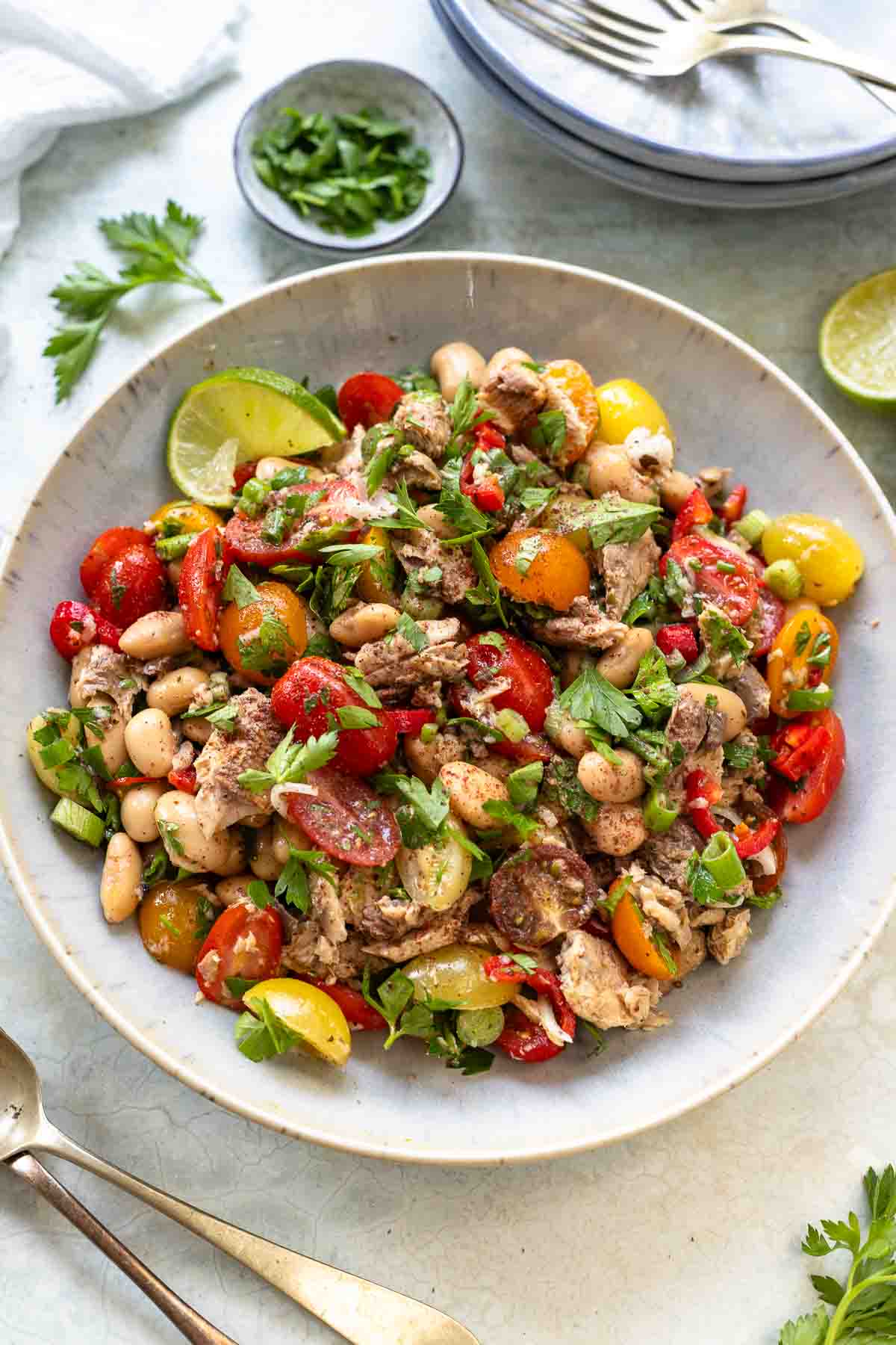 Sardinen Salat mit weißen Bohnen